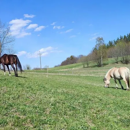 Zielenina * Mierzeszyn