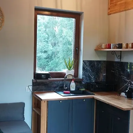 Zielenina Mierzeszyn