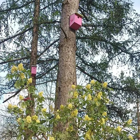 Zielenina 度假居 Mierzeszyn