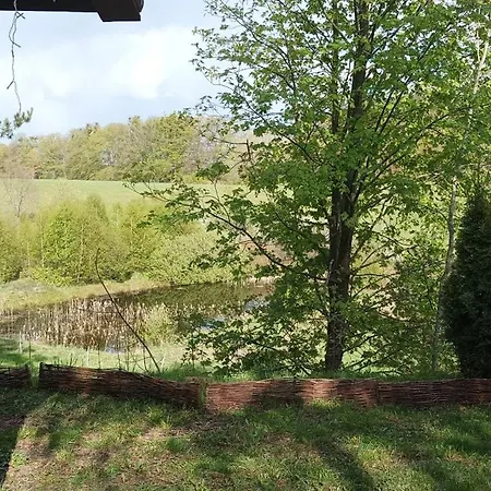 Zielenina Mierzeszyn