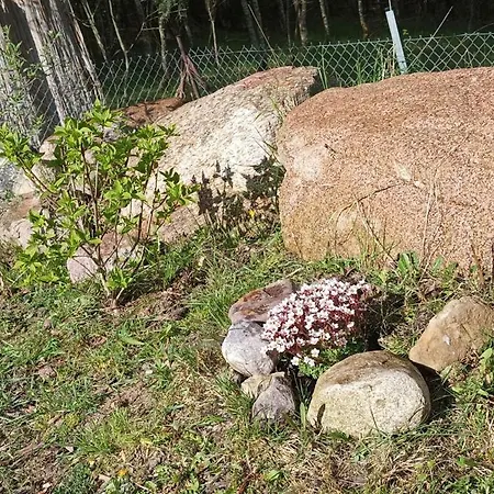 度假居 Zielenina *