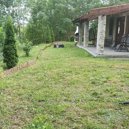 Zielenina Mierzeszyn