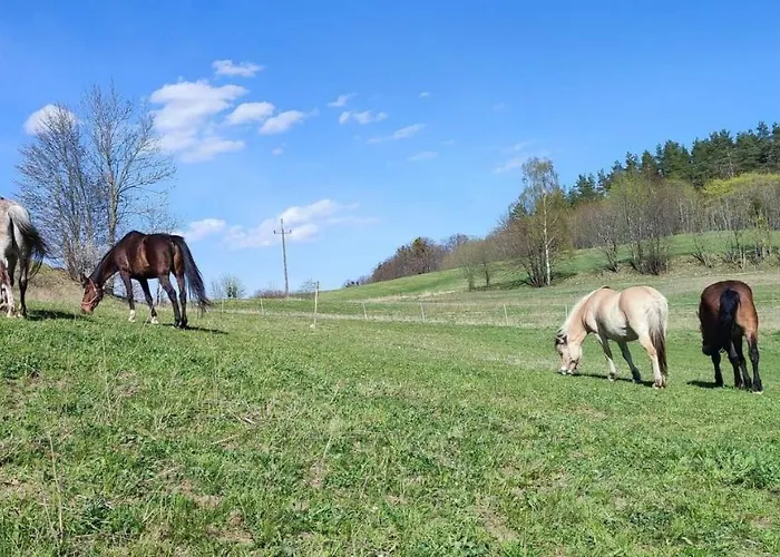 Zielenina * Mierzeszyn