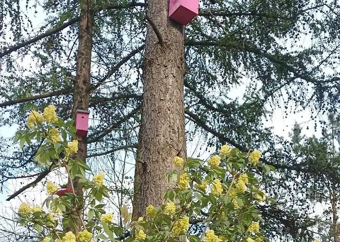 Zielenina Prázdninový dům Mierzeszyn