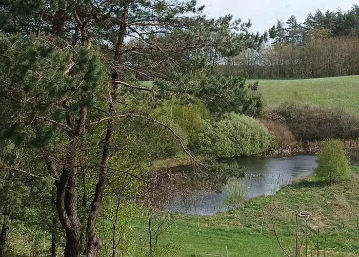 Prázdninový dům Zielenina *