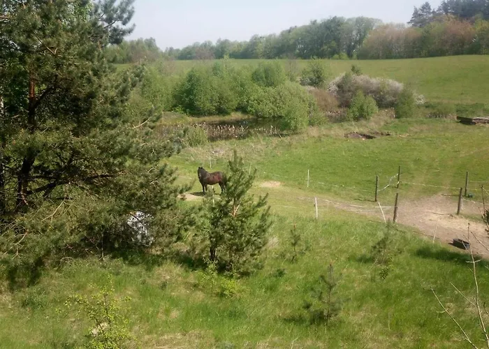 Zielenina Prázdninový dům Mierzeszyn